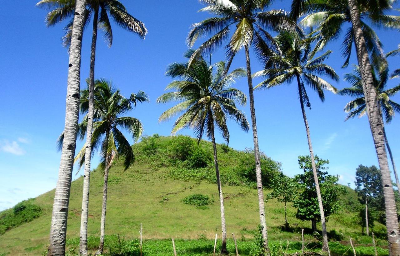 Bohol Sweet Home Bed And Breakfast 귄둘만 외부 사진